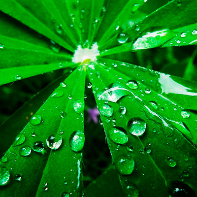 服务器攻击软件