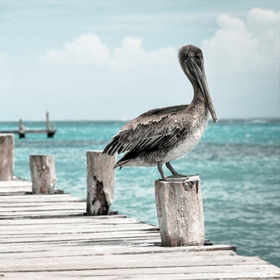 颠覆传统思维的DDOS压力测试网页端